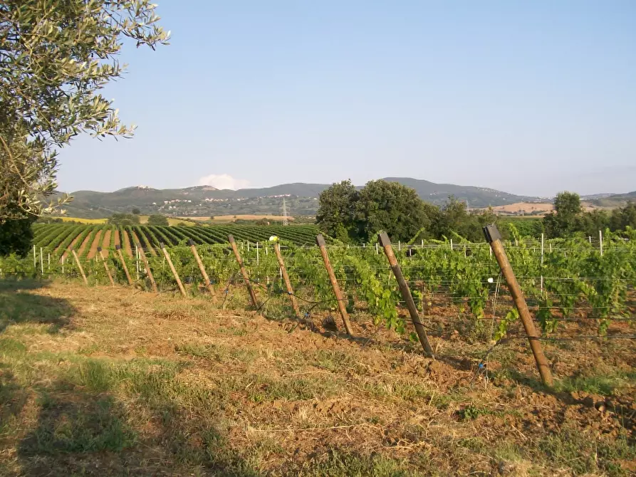 Immagine 5 di Rustico / casale in vendita  in - a Montecchio