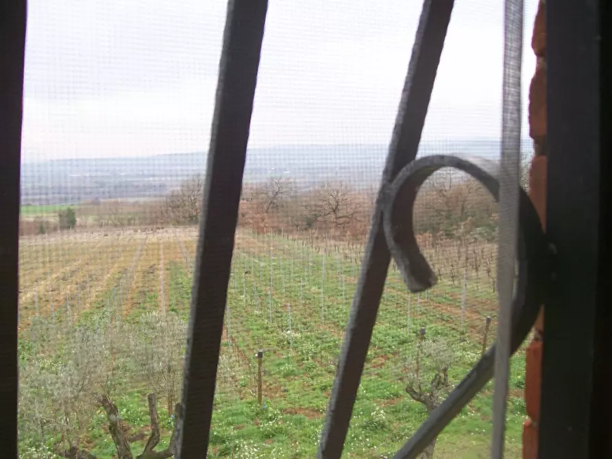 Immagine 6 di Rustico / casale in vendita  in - a Montecchio