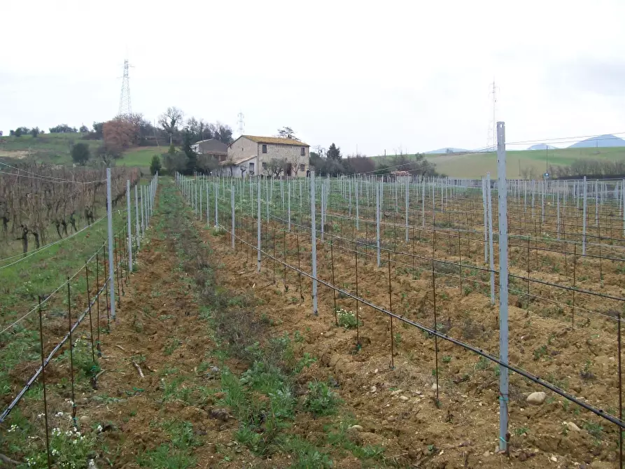 Immagine 12 di Rustico / casale in vendita  in - a Montecchio