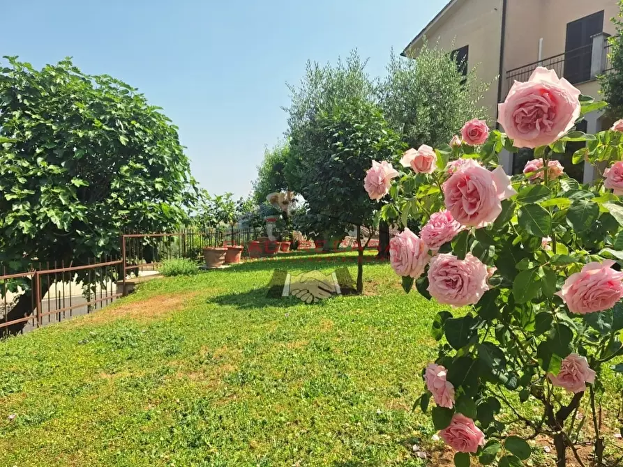 Immagine 1 di Casa indipendente in vendita  in 4 km da ORvieto a Orvieto