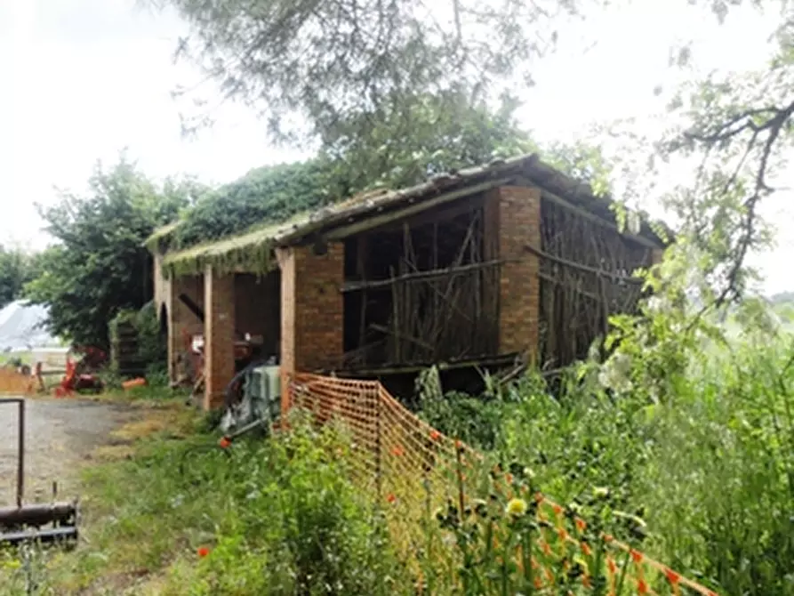 Immagine 3 di Rustico / casale in vendita  a Orvieto