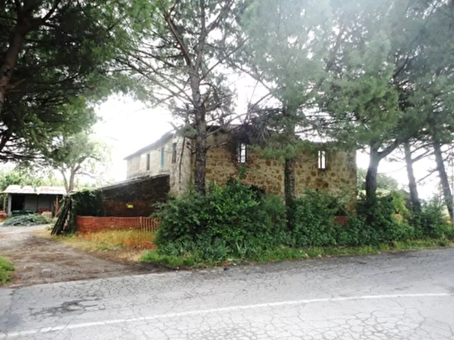 Immagine 4 di Rustico / casale in vendita  a Orvieto