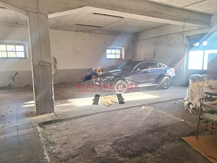 Immagine 1 di Capannone industriale in vendita  in castiglione in teverina a Castiglione In Teverina