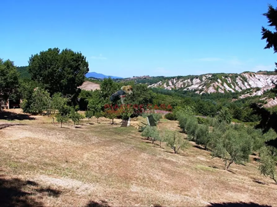 Immagine 4 di Rustico / casale in vendita  in - a Allerona