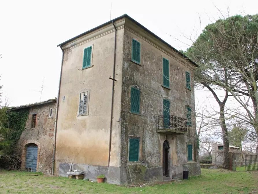 Immagine 1 di Rustico / casale in vendita  a Castel Giorgio
