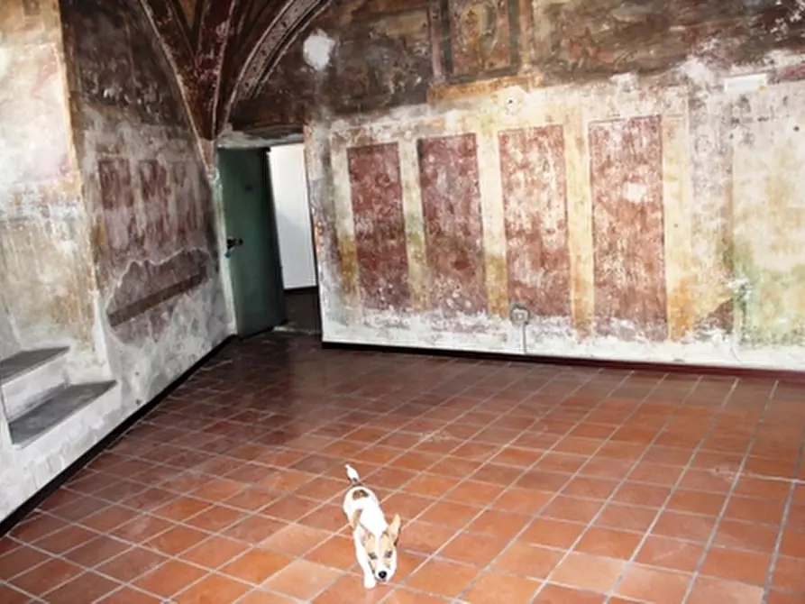 Immagine 3 di Ufficio in affitto  a Orvieto