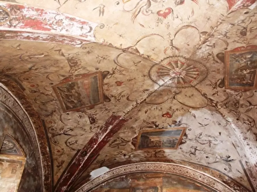 Immagine 4 di Ufficio in affitto  a Orvieto