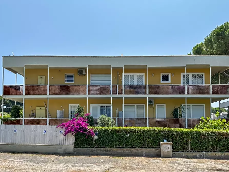 Immagine 23 di Appartamento in vendita  a Santa Marinella