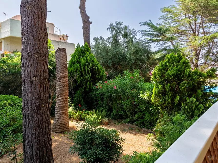 Immagine 9 di Appartamento in vendita  a Santa Marinella