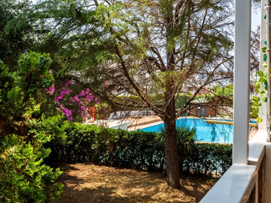 Immagine 13 di Appartamento in vendita  a Santa Marinella