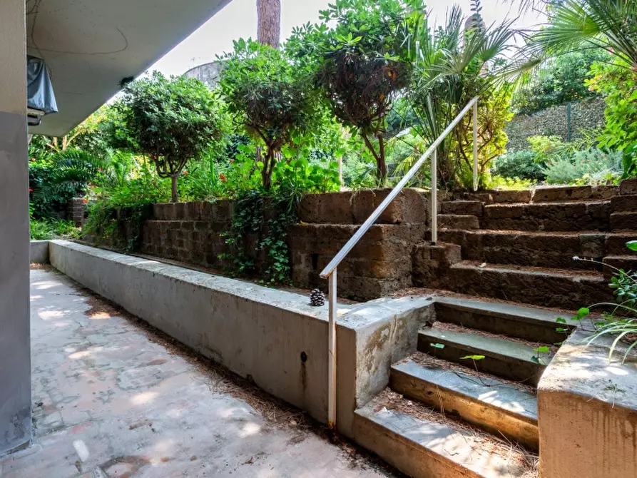 Immagine 17 di Appartamento in vendita  a Santa Marinella