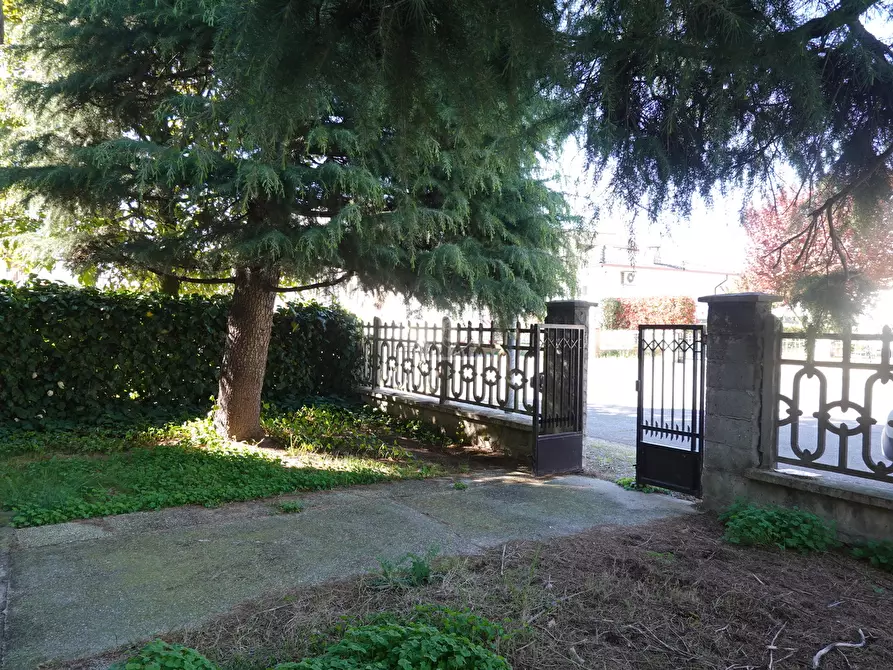 Immagine 19 di Appartamento in vendita  a Suzzara