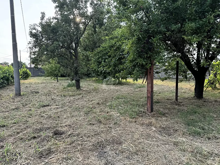 Immagine 5 di Casa indipendente in vendita  a Suzzara