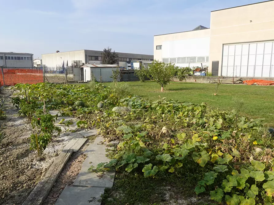 Immagine 5 di Rustico / casale in vendita  a Suzzara