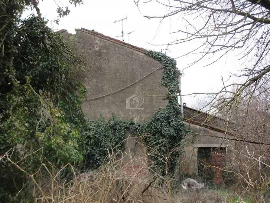 Immagine 4 di Rustico / casale in vendita  a Suzzara