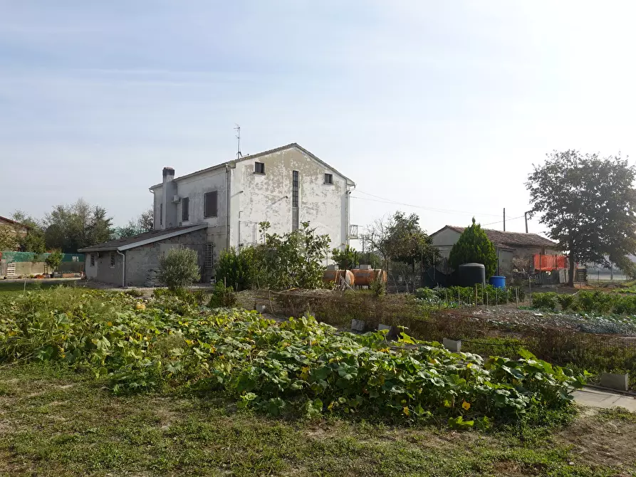 Immagine 7 di Rustico / casale in vendita  a Suzzara