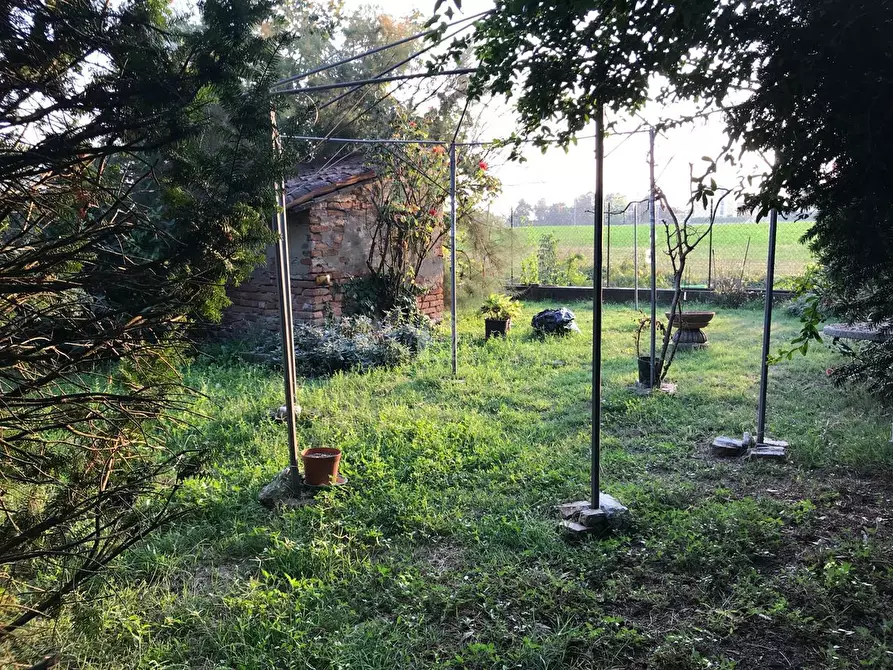 Immagine 21 di Rustico / casale in vendita  a Suzzara