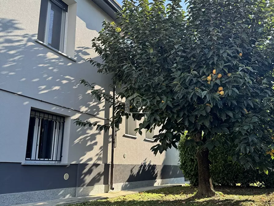 Immagine 5 di Casa indipendente in vendita  a Suzzara