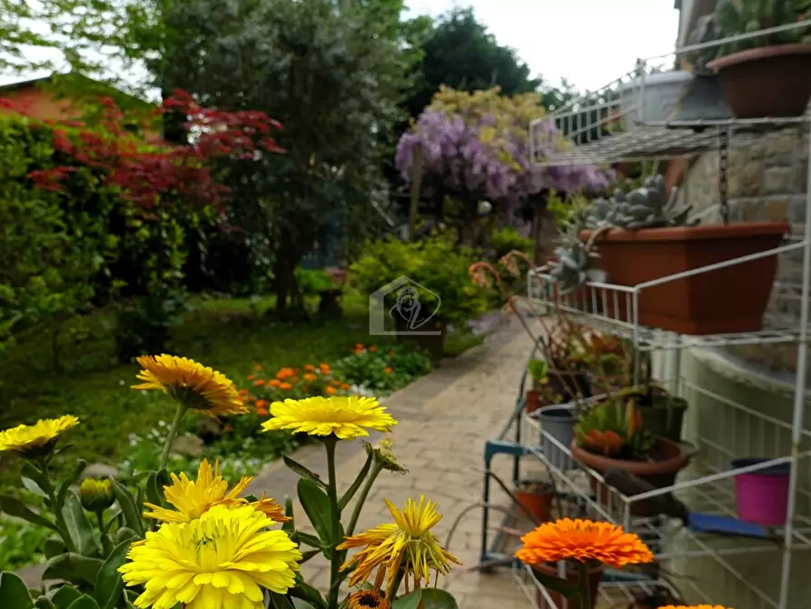 Immagine 21 di Appartamento in vendita  a Suzzara