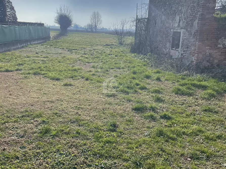 Immagine 6 di Rustico / casale in vendita  a Gonzaga