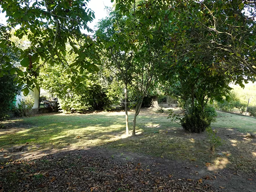 Immagine 9 di Casa indipendente in vendita  a San Benedetto Po