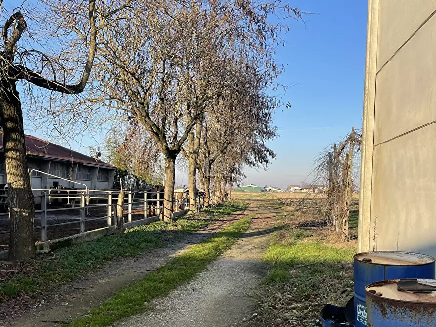 Immagine 1 di Azienda agricola in vendita  a Luzzara