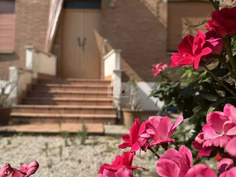 Immagine 18 di Casa indipendente in vendita  a Gonzaga