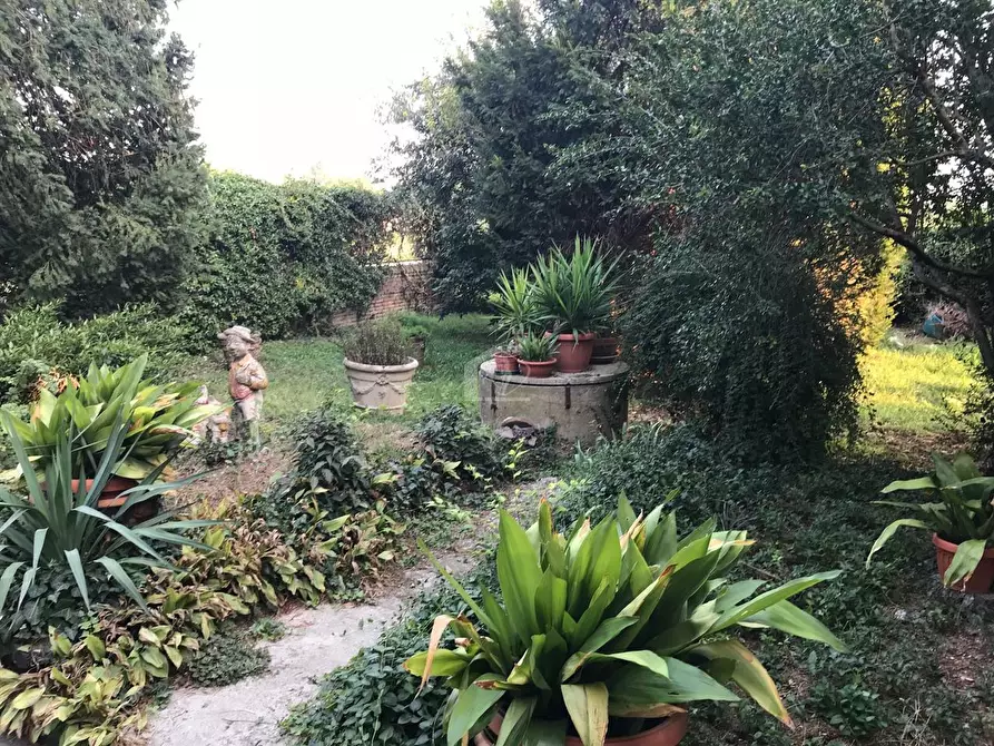 Immagine 20 di Rustico / casale in vendita  a Suzzara