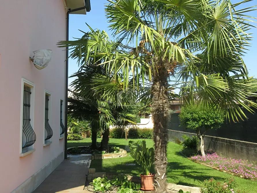 Immagine 4 di Villa in vendita  a Suzzara