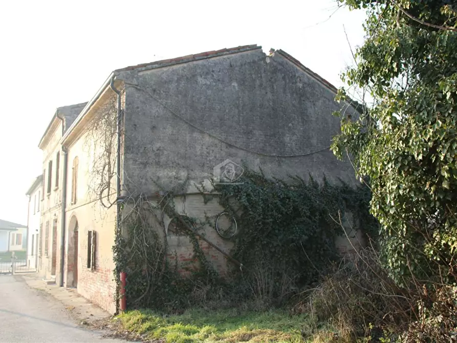 Immagine 11 di Rustico / casale in vendita  a Suzzara