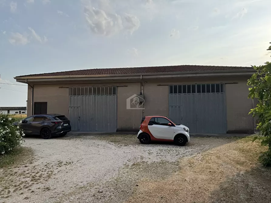 Immagine 3 di Casa indipendente in vendita  a Suzzara