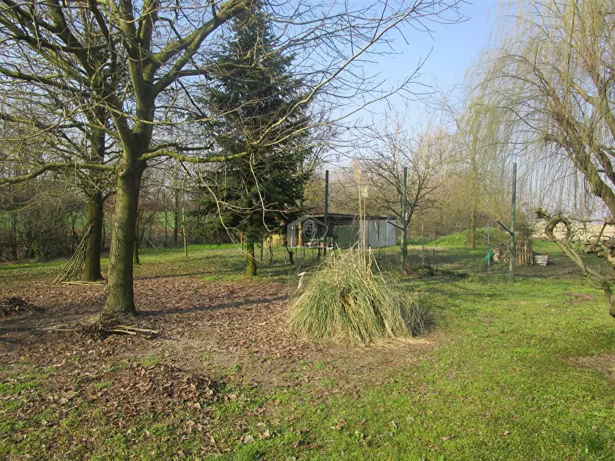 Immagine 23 di Rustico / casale in vendita  a Motteggiana