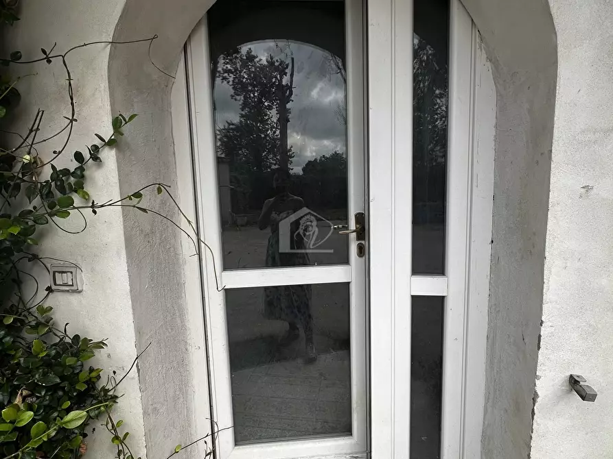 Immagine 7 di Rustico / casale in vendita  a Castel D'ario