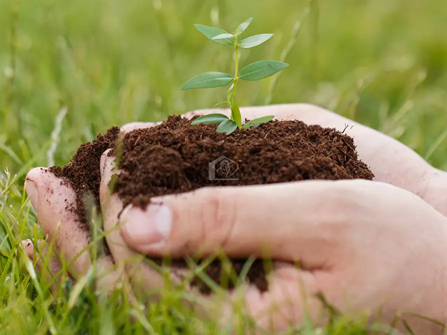 Immagine 1 di Terreno agricolo in vendita  a San Giovanni Del Dosso