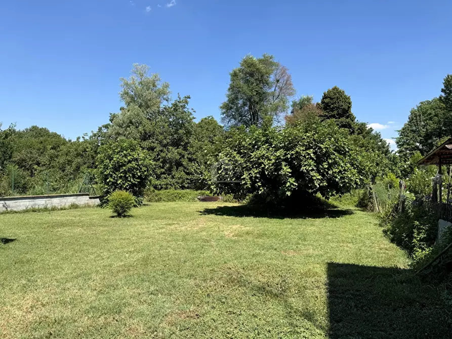 Immagine 2 di Casa semindipendente in vendita  a Suzzara
