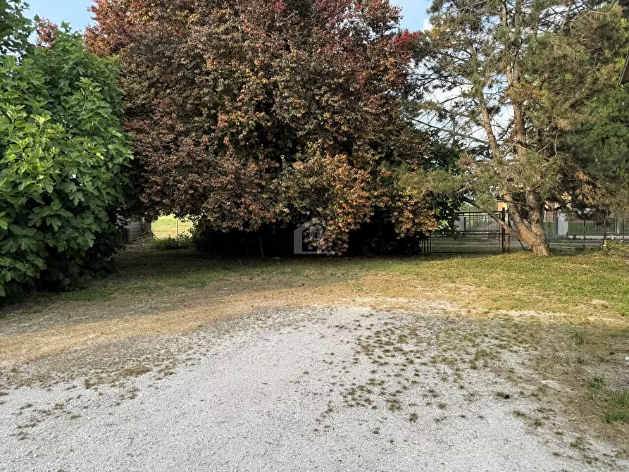 Immagine 4 di Casa indipendente in vendita  a Suzzara