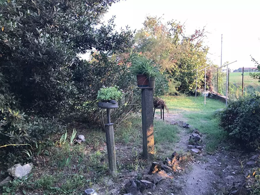 Immagine 22 di Rustico / casale in vendita  a Suzzara