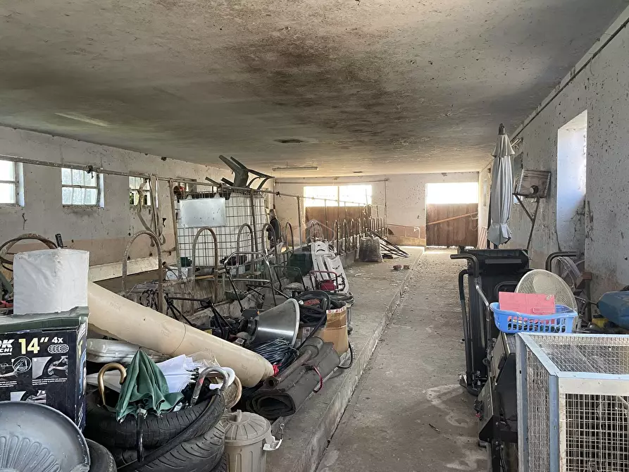 Immagine 12 di Rustico / casale in vendita  a Motteggiana