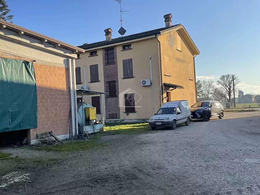 Immagine 3 di Azienda agricola in vendita  a Luzzara