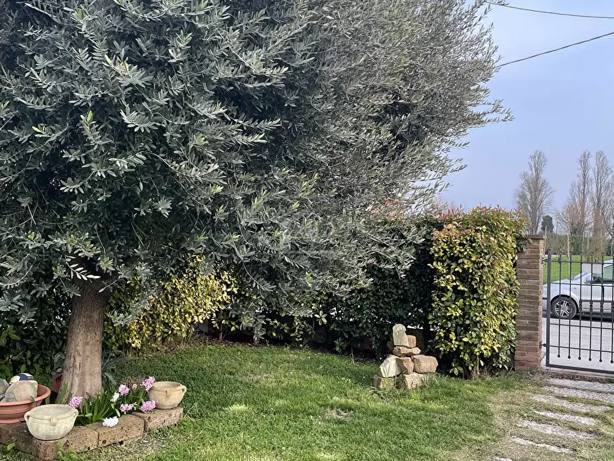 Immagine 14 di Casa indipendente in vendita  a Suzzara