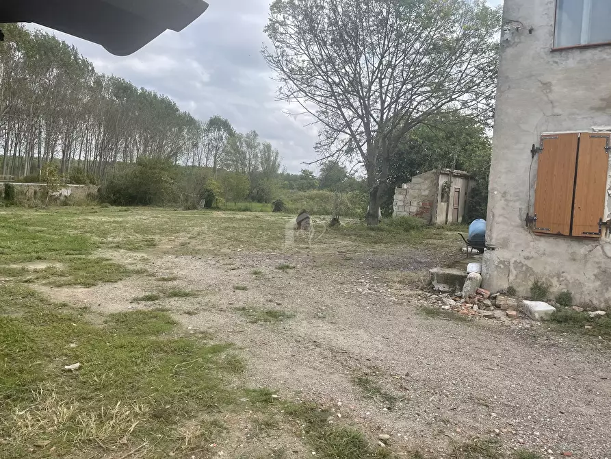 Immagine 6 di Rustico / casale in vendita  a Castel D'ario
