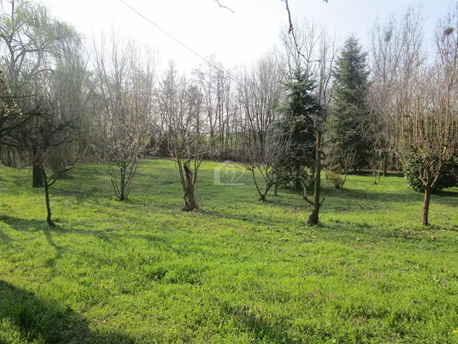 Immagine 22 di Rustico / casale in vendita  a Motteggiana