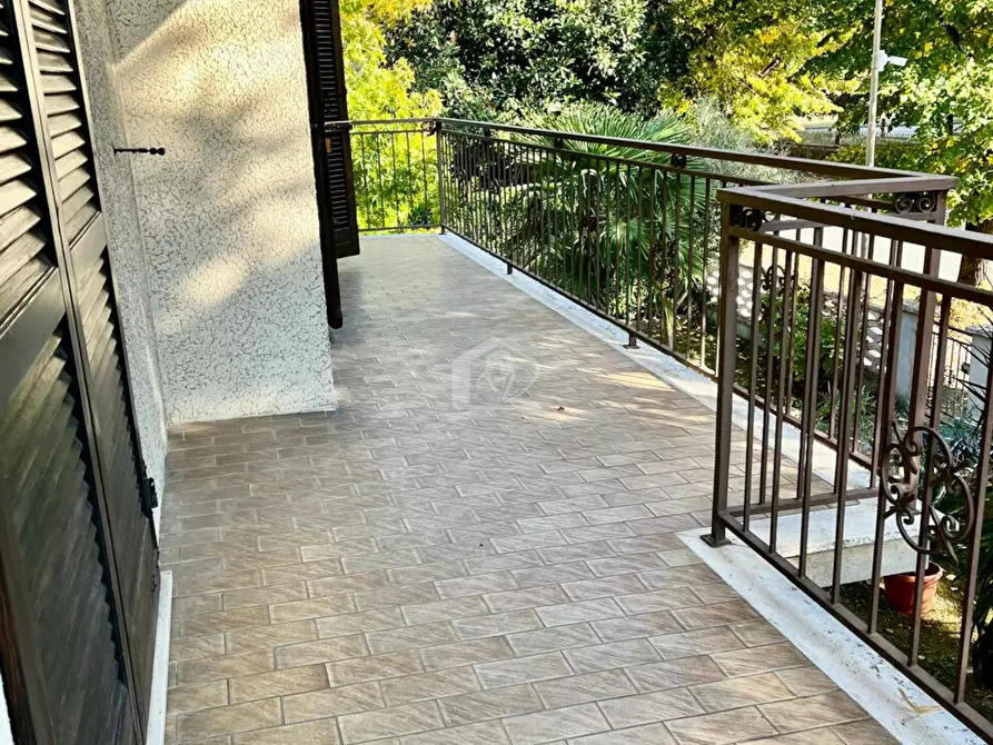 Immagine 18 di Appartamento in vendita  a Suzzara