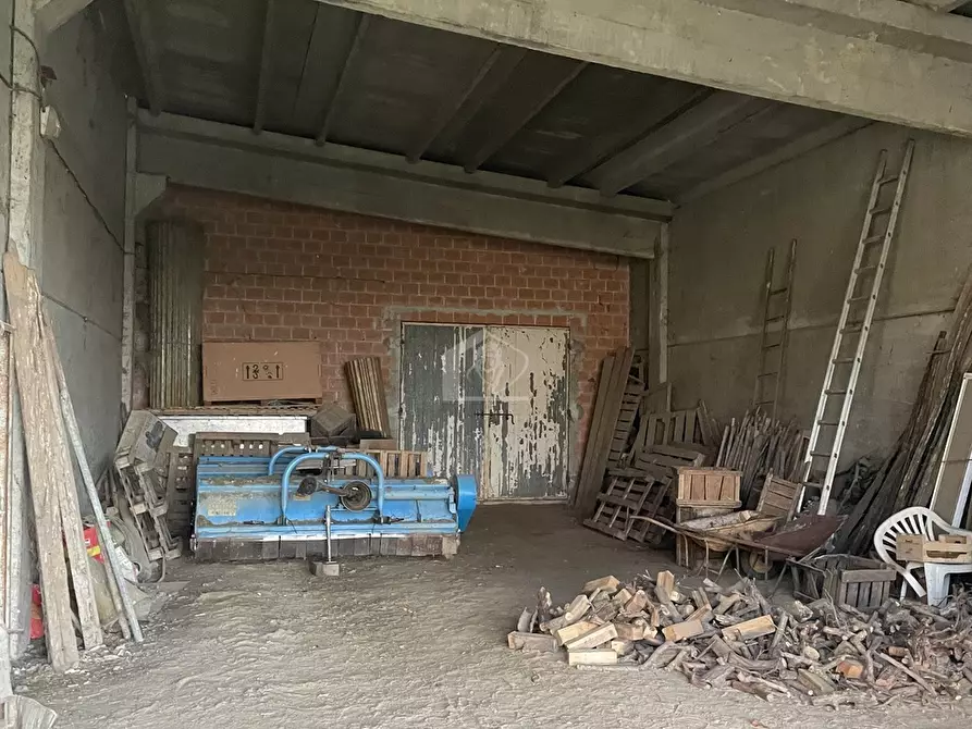 Immagine 5 di Azienda agricola in vendita  a Luzzara