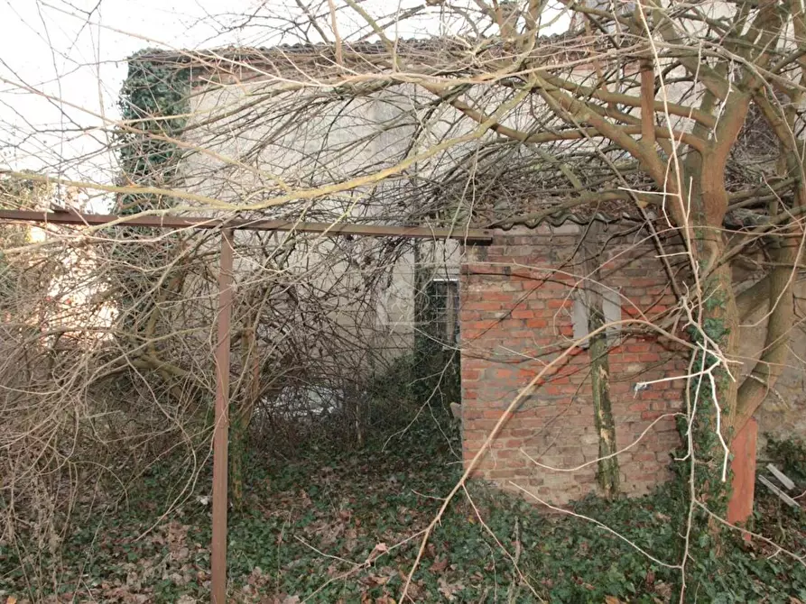 Immagine 6 di Rustico / casale in vendita  a Suzzara