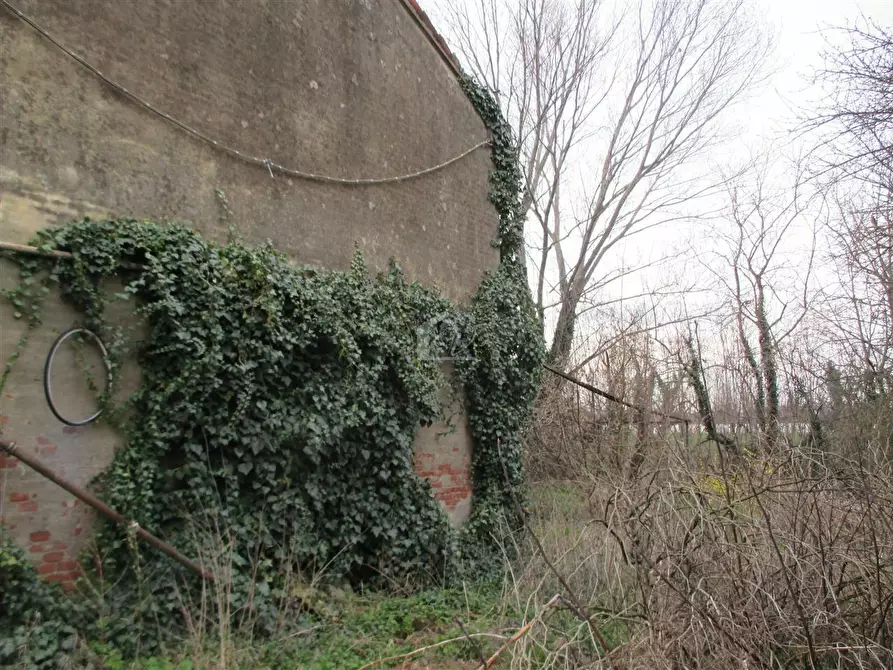 Immagine 3 di Rustico / casale in vendita  a Suzzara