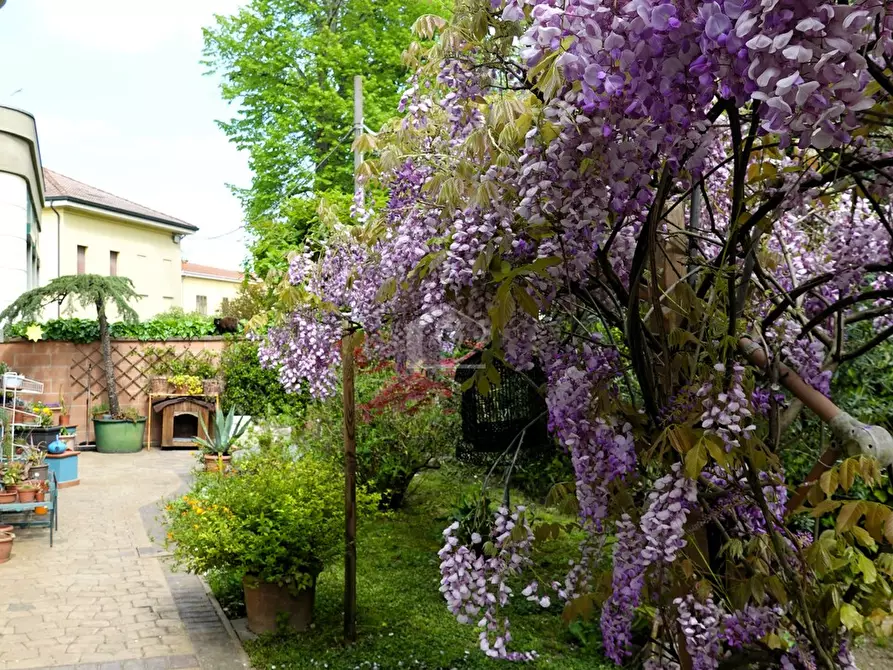 Immagine 18 di Appartamento in vendita  a Suzzara