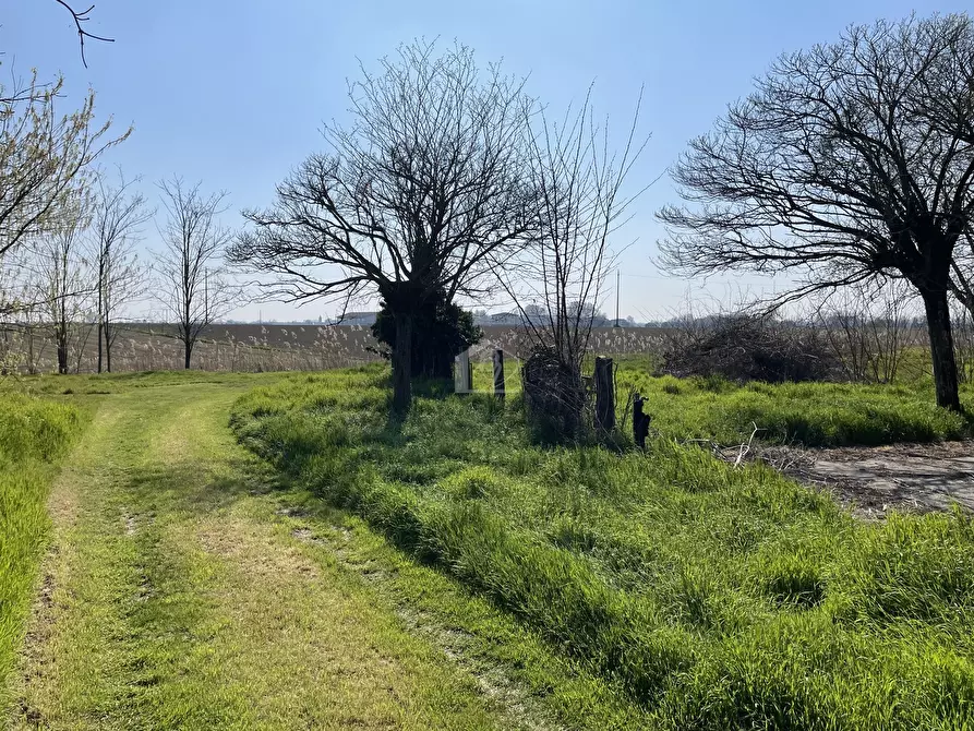 Immagine 13 di Rustico / casale in vendita  a Motteggiana