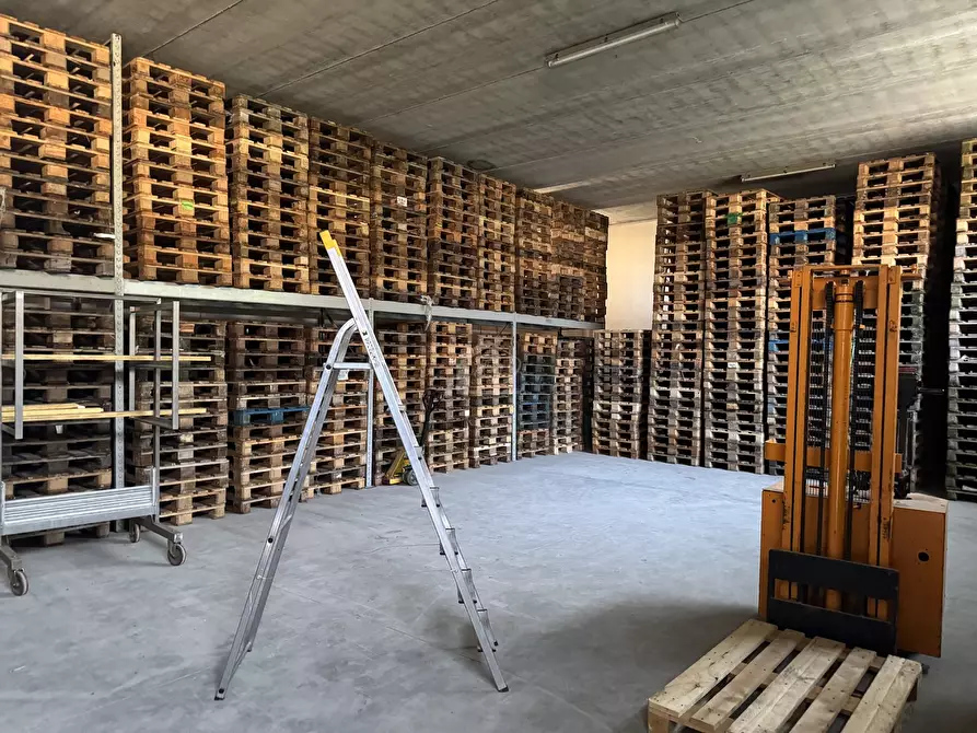 Immagine 9 di Casa indipendente in vendita  a Suzzara