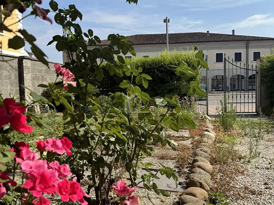 Immagine 17 di Casa indipendente in vendita  a Gonzaga
